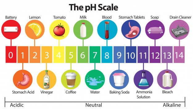 Ph Levels And How They Affect Your Mouth