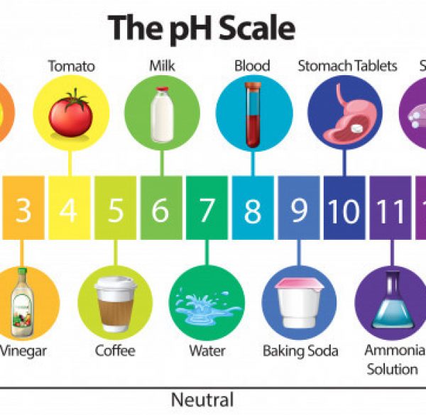 Ph Levels And How They Affect Your Mouth 7560